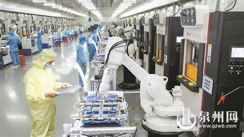 石獅 科技創新催生產業蝶變，網絡技術服務賦能企業新未來